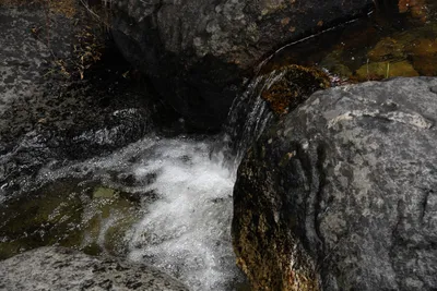 DSC_4608 (Large).JPG